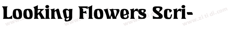 Looking Flowers Scri字体转换